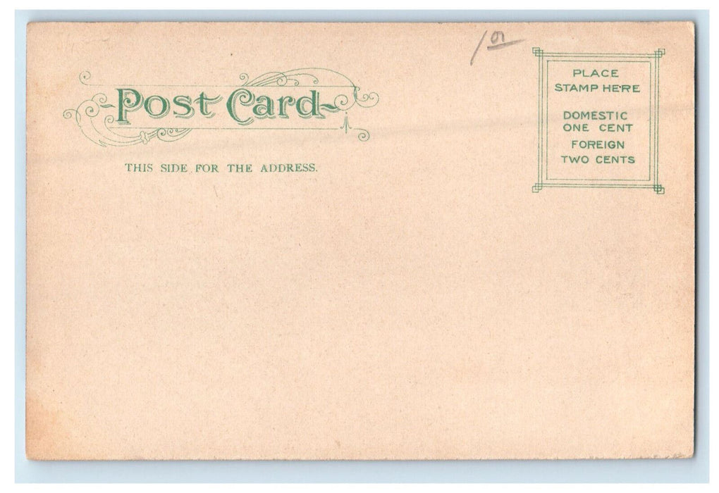 c1905 Scene on the St. Joe River, South Bend Indiana IN Unposted Postcard