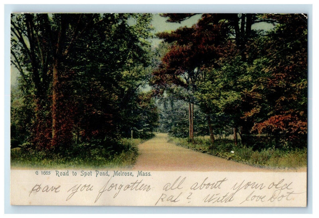1908 Road To Spot Pond Melrose Massachusetts MA Rotograph Postcard