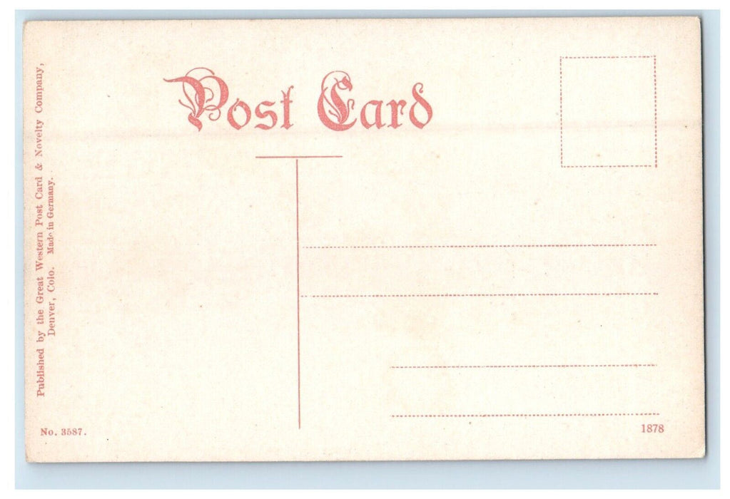 c1910's View Of Arapahoe Peaks Colorado CO Unposted Antique Postcard