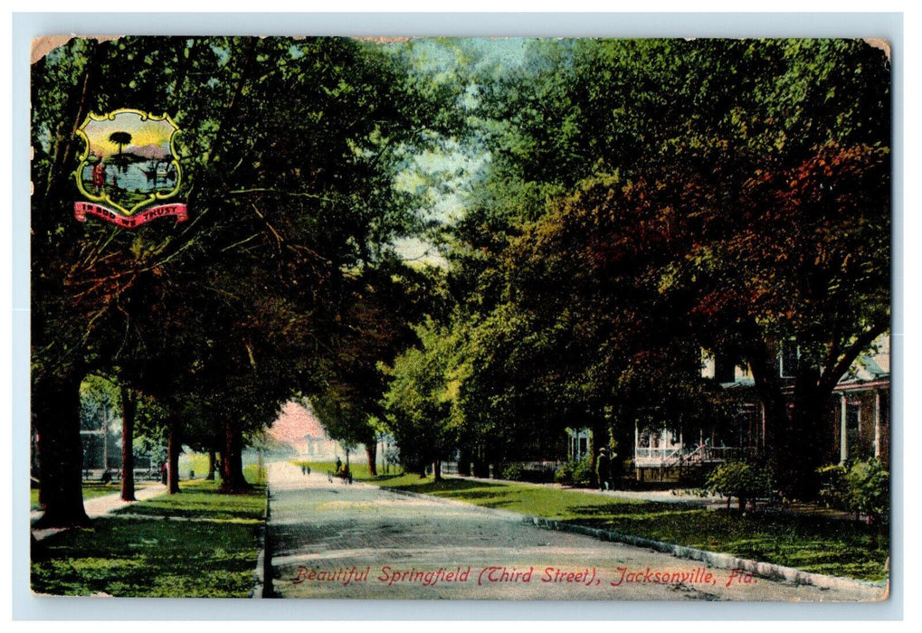 1910 Beautiful Springfield (Third Street) Jacksonville Florida FL Postcard