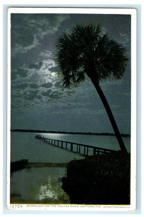c1910's Moonlight On The Halifax River Daytona Florida FL Phostint Postcard
