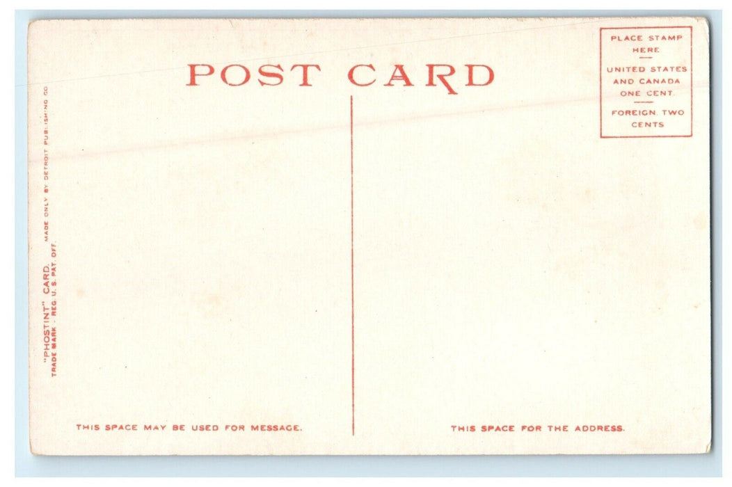 c1910's Moonlight On The Halifax River Daytona Florida FL Phostint Postcard
