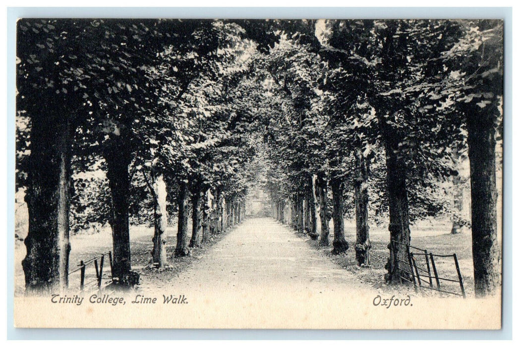 c1910s Trinity College, Lime Walk Oxford England EN Unposted Antique Postcard