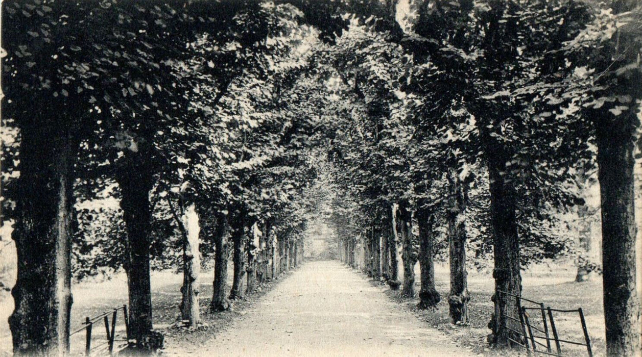 c1910s Trinity College, Lime Walk Oxford England EN Unposted Antique Postcard