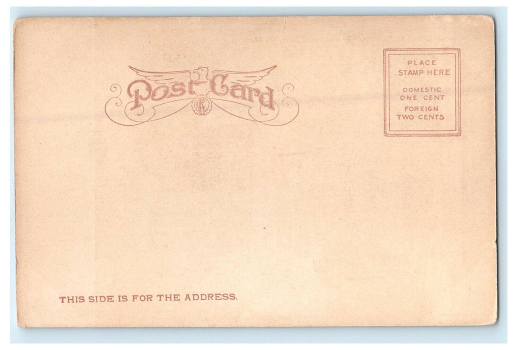 c1905s Industrial State School, Manchester, New Hampshire NH Unposted Postcard
