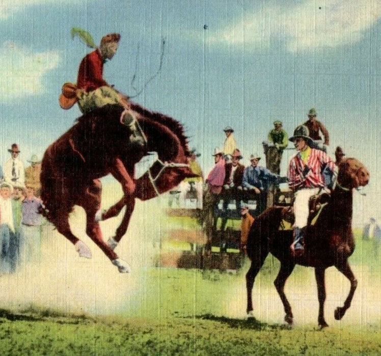 c1940's Tex Crocket On South Dakota S.D, Horse Cowboy Bucking Rodeo Postcard