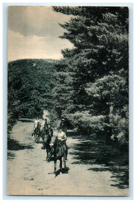 Romantic Trails Crooning Pines Echo Lake Horse Riding Warrensburg NY Postcard