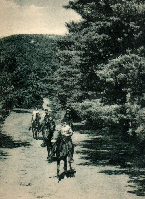 Romantic Trails Crooning Pines Echo Lake Horse Riding Warrensburg NY Postcard