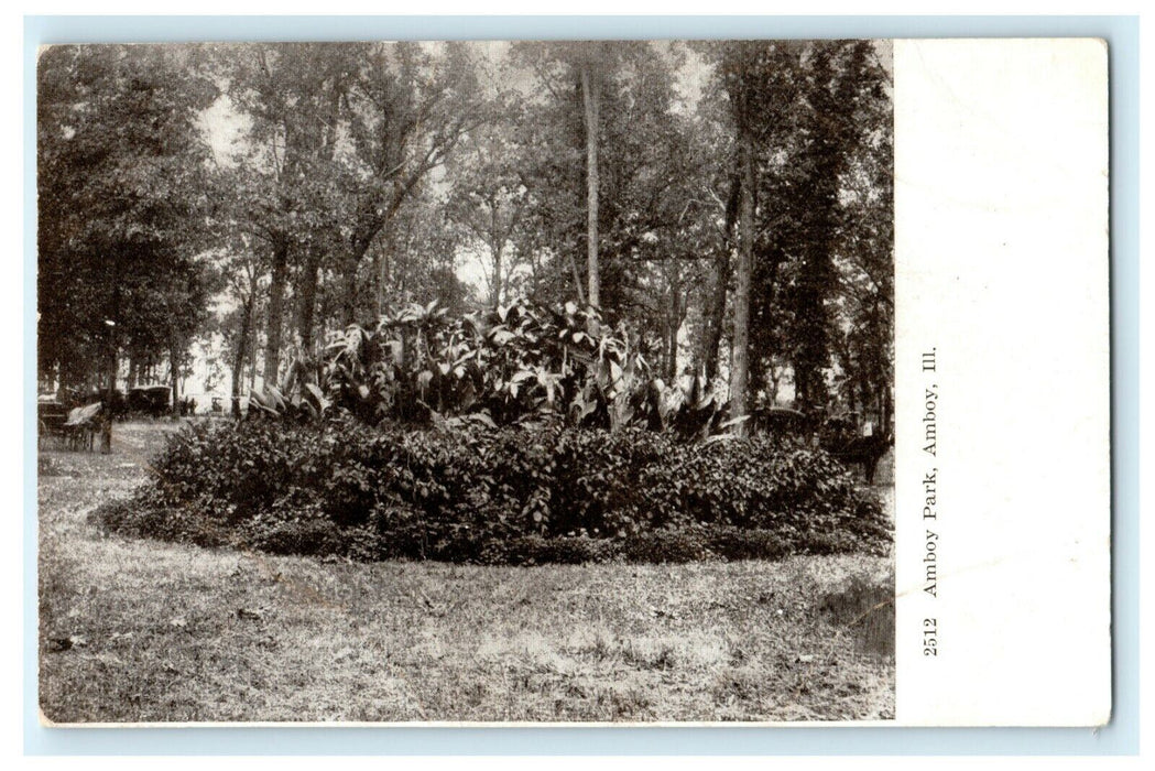 Amboy Park Illinois Flower Bed c1910 Vintage Antique Postcard