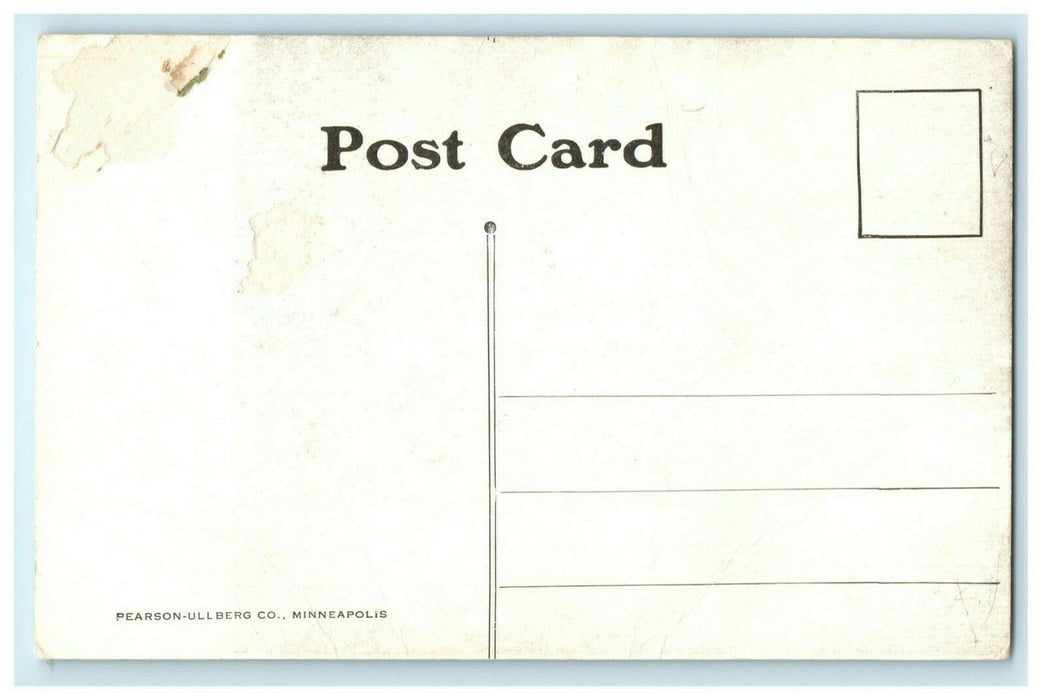 Amboy Park Illinois Flower Bed c1910 Vintage Antique Postcard