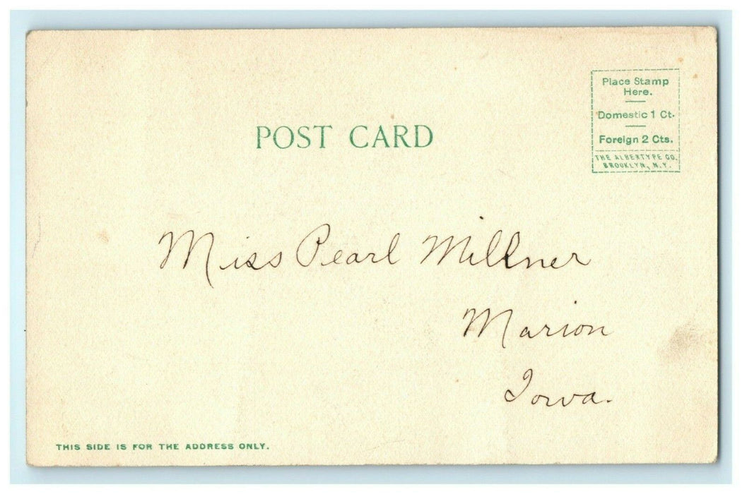 Public Library Dixon Illinois c1910 Winter Leake Bros. Vintage Antique Postcard