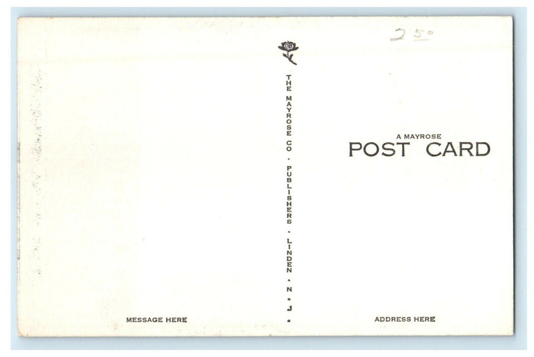 c1940's The View Of State Capitol Building Cheyenne Wyoming WY Vintage Postcard