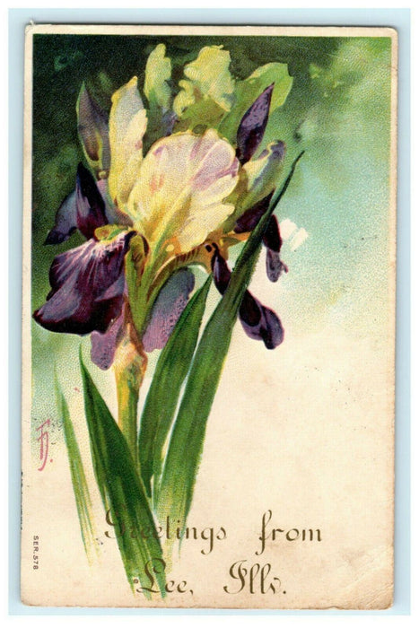 Greetings From Lee Illinois Embossed Flowers Lily 1907 Vintage Antique Postcard