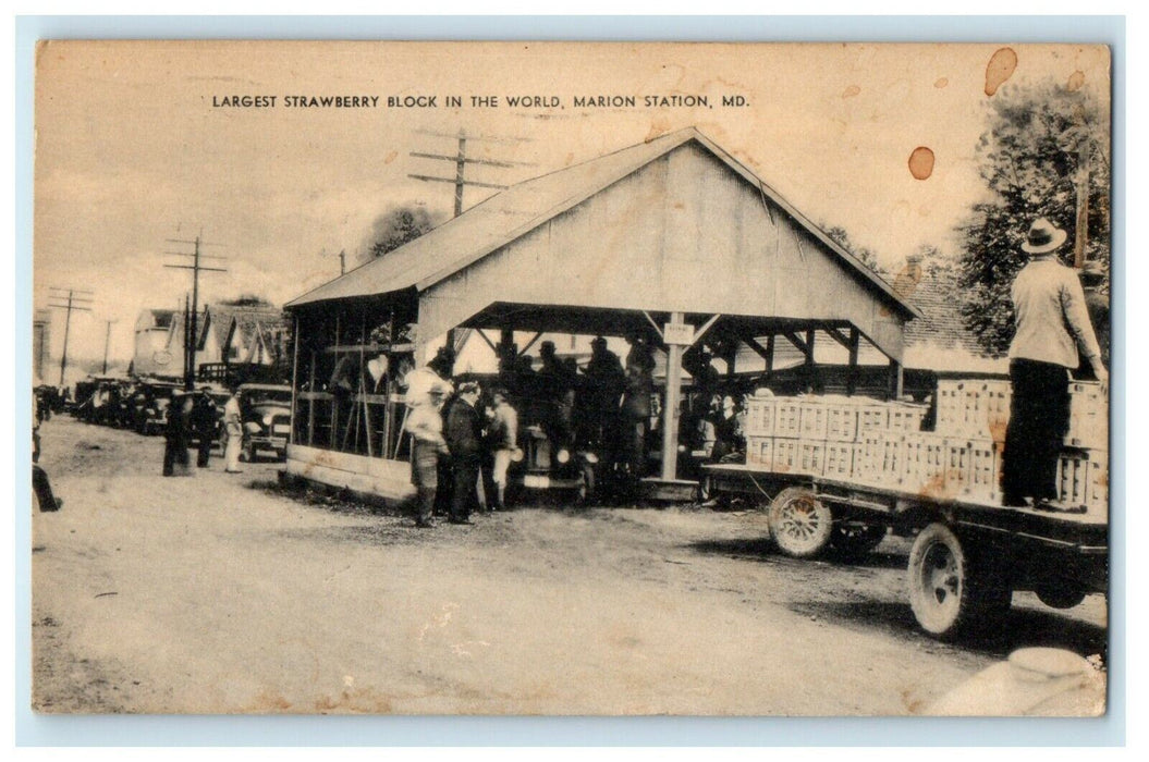 1938 Largest Strawberry Block in the World, Marion Station, Maryland MD Postcard