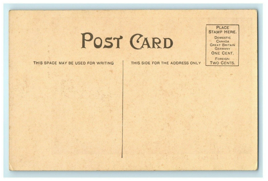 Public Library Dixon Illinois c1905 Kramer Publisher Vintage Antique Postcard