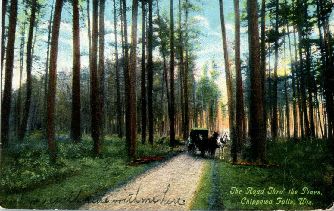 1909 The Road Thro The Pines, Chippewa Falls, Wisconsin WI Posted Postcard