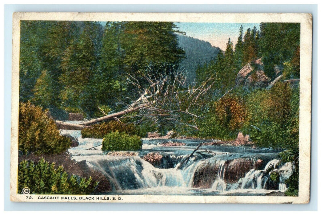 1921 Cascade Falls Waterfall Black Hills South Dakota SD Vintage Postcard