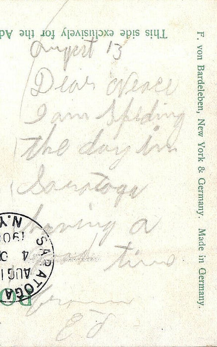 1908 Schenectady NY Park Avenue Sandymount Dublin Ireland IE Posted Postcard