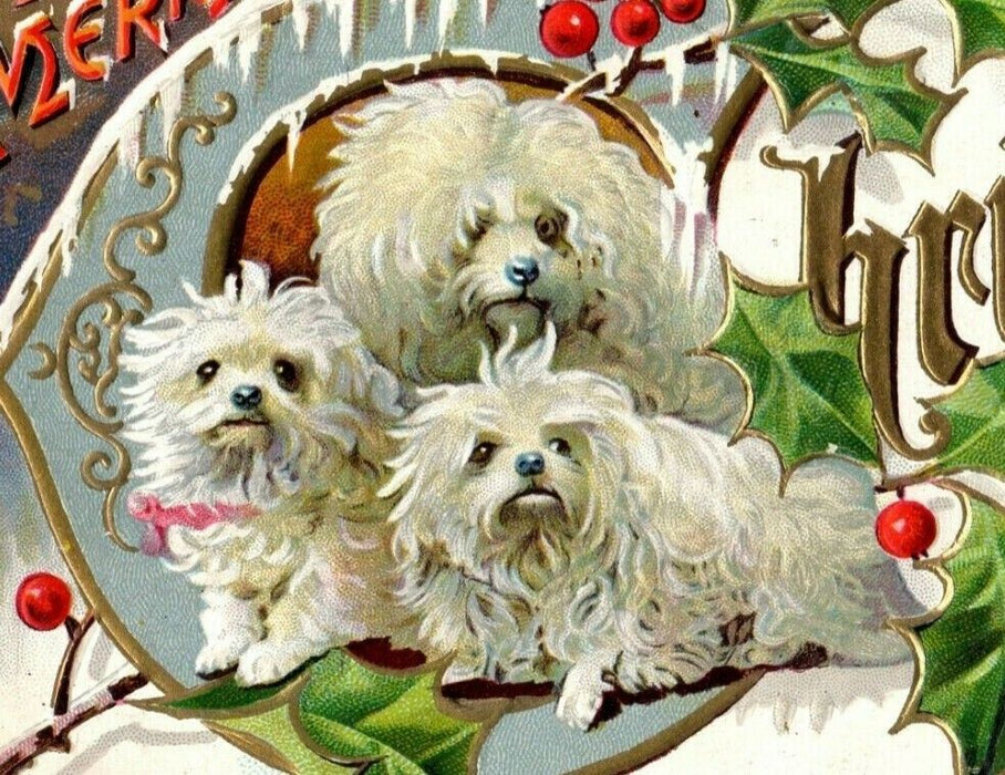 English Sheepdog Merry Christmas Gold Embossed c1910 Vintage Antique Postcard