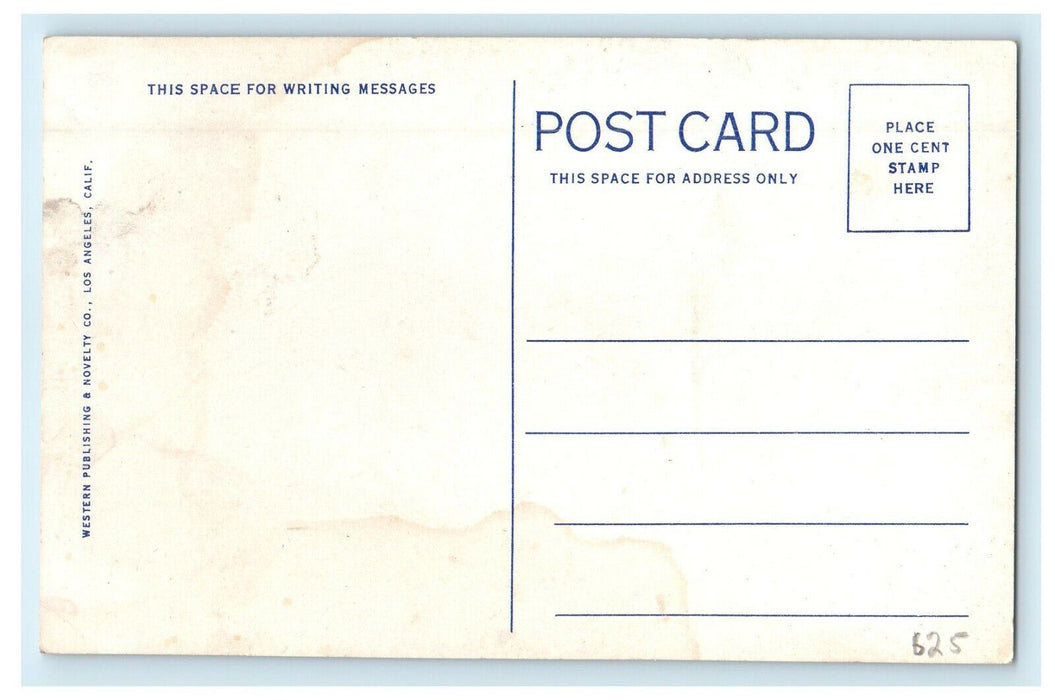 c1920s Glass Bottom Boats, Catalina Island California Unposted Postcard