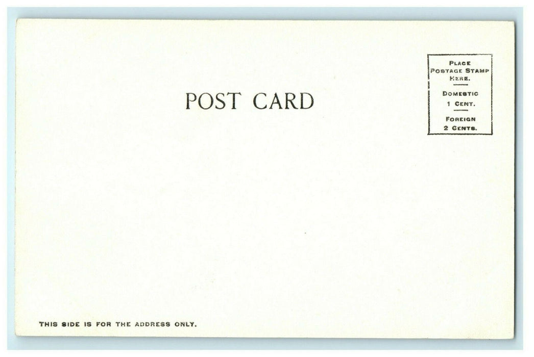 Public Library Dixon Illinois Leake Bros. c1910 Vintage Antique Postcard