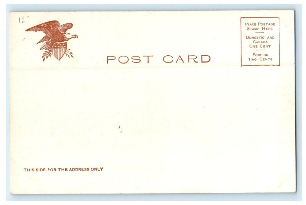 c1905 Maplewood Hotel Pittsfield Massachusetts MA Unposted Antique Postcard