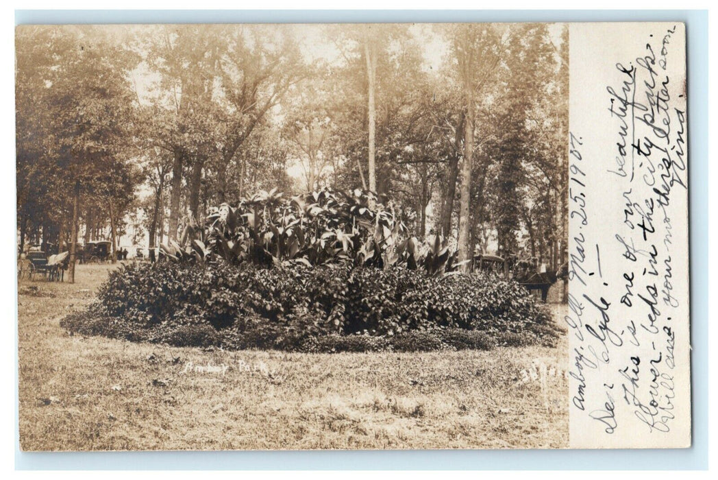 Flower Bed Park Plants Amboy Illinois RPPC Photo 1907 Vintage Antique Postcard