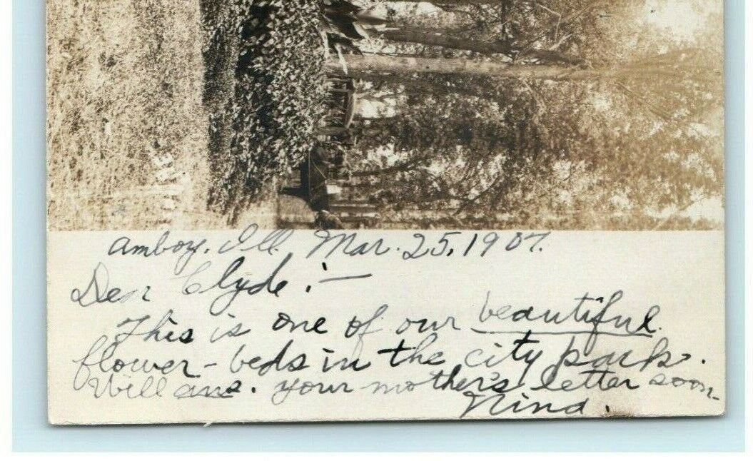 Flower Bed Park Plants Amboy Illinois RPPC Photo 1907 Vintage Antique Postcard