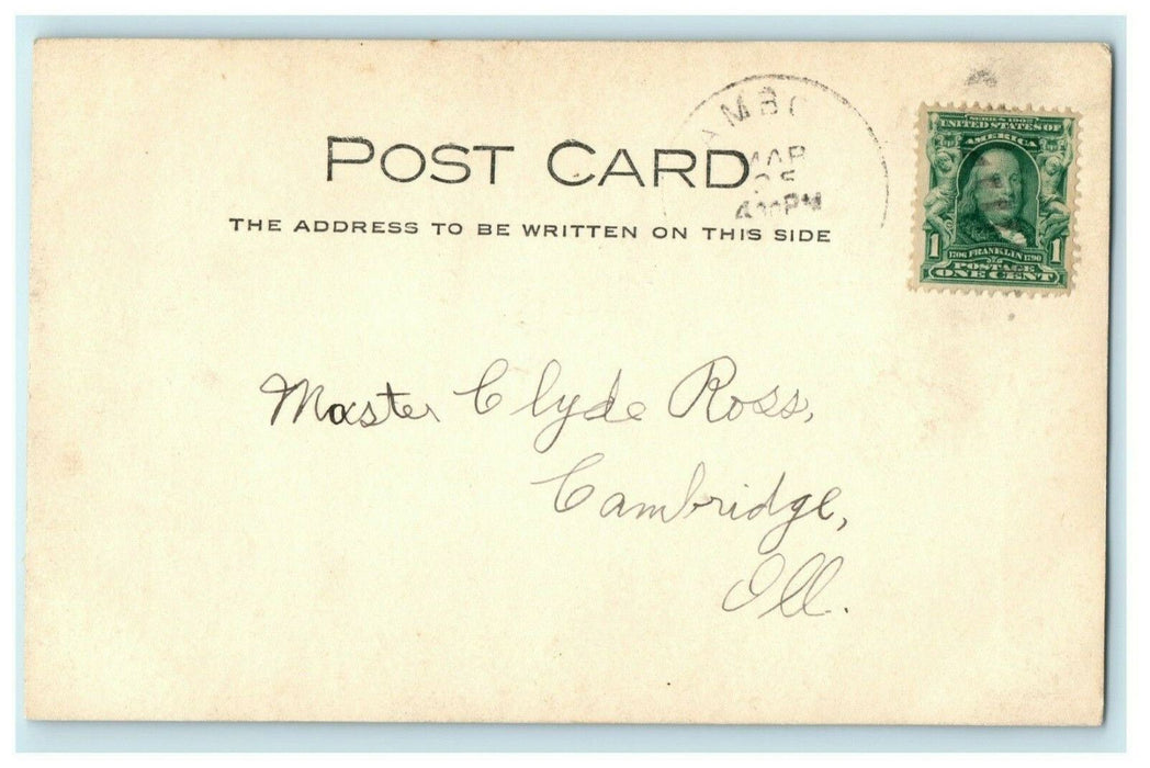 Flower Bed Park Plants Amboy Illinois RPPC Photo 1907 Vintage Antique Postcard