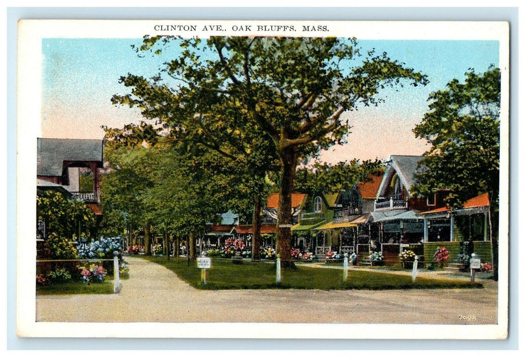 View Of Clinton Avenue Oak Bluffs Massachusetts MA Unposted Postcard