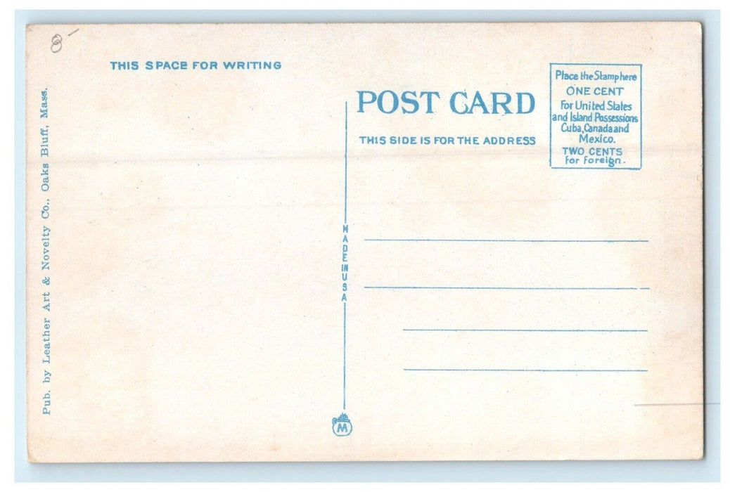 View Of Clinton Avenue Oak Bluffs Massachusetts MA Unposted Postcard