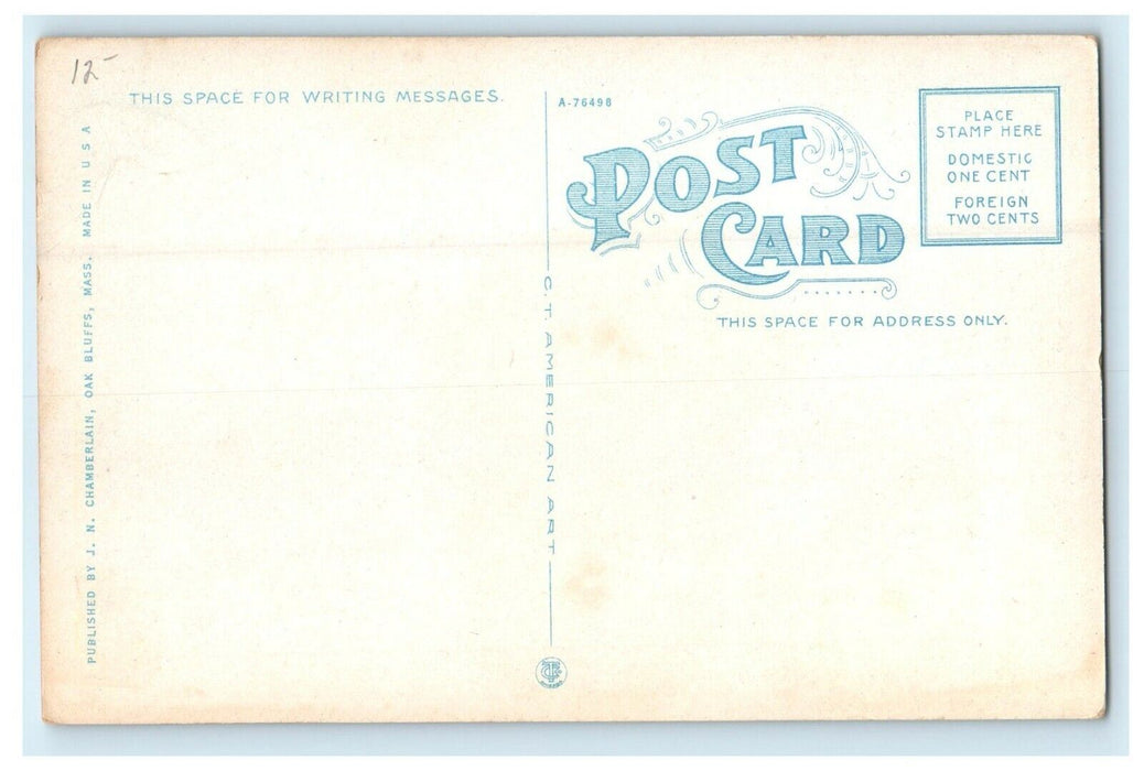 Oak Bluffs Massachusetts Boat Landing Steamboat Ship MA Unposted Postcard