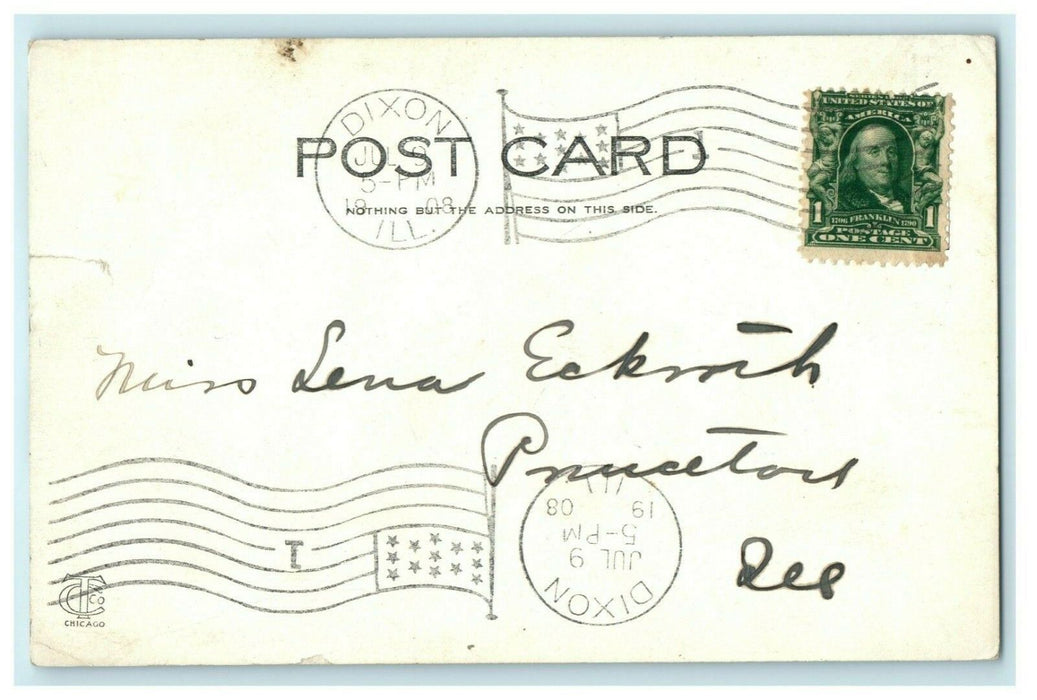 Islands in River Castle Rock Dixon Illinois 1908 Vintage Antique Postcard