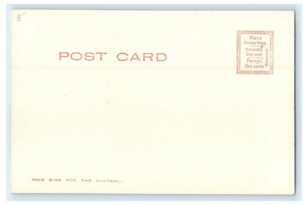 Museum Of Natural History & Art Pittsfield Massachusetts MA Unposted Postcard