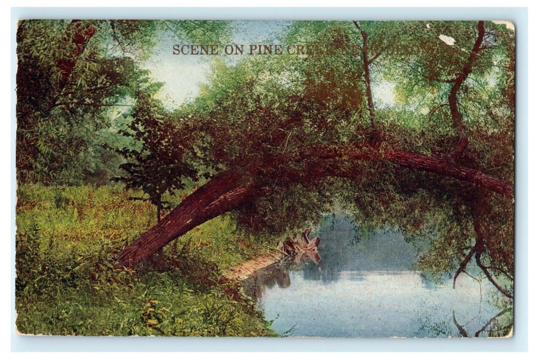 Scene on Pine Creek Dixon Illinois c1910 Rock Island Vintage Antique Postcard