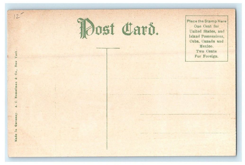 c1910 The Mary House Families Scene Onset Massachusetts MA Antique Postcard