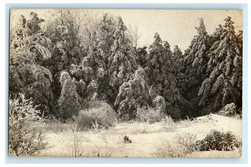 1909 Frozen Trees Snow River Massachusetts MA, RPPC Photo Antique Postcard