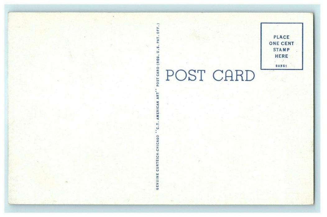 Lowell Park Dixon Illinois Green River View c1940 Vintage Antique Postcard
