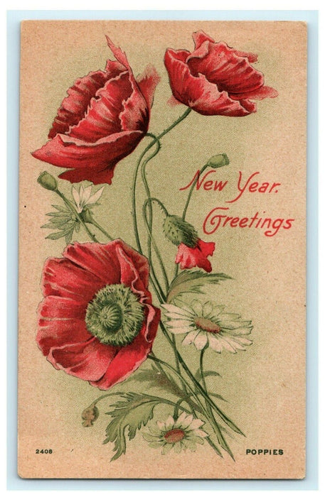 New Year Poppies Flowers 1909 Holland Michigan Vintage Antique Postcard
