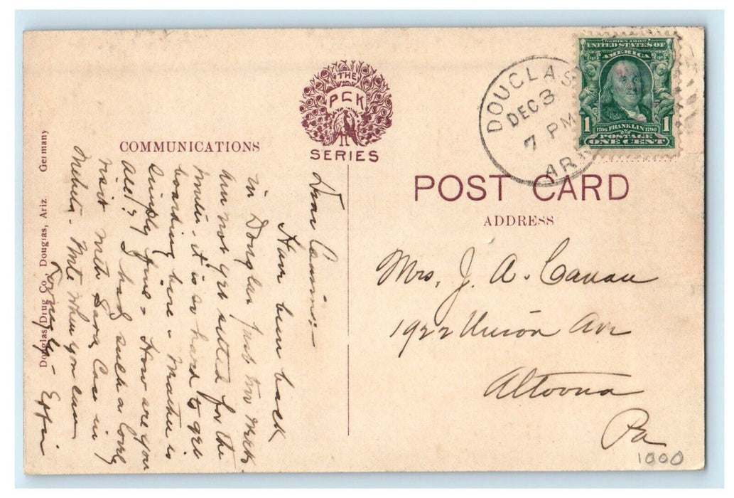 c1910's A View Of Public Park Douglas Arizona AZ Posted Antique Postcard