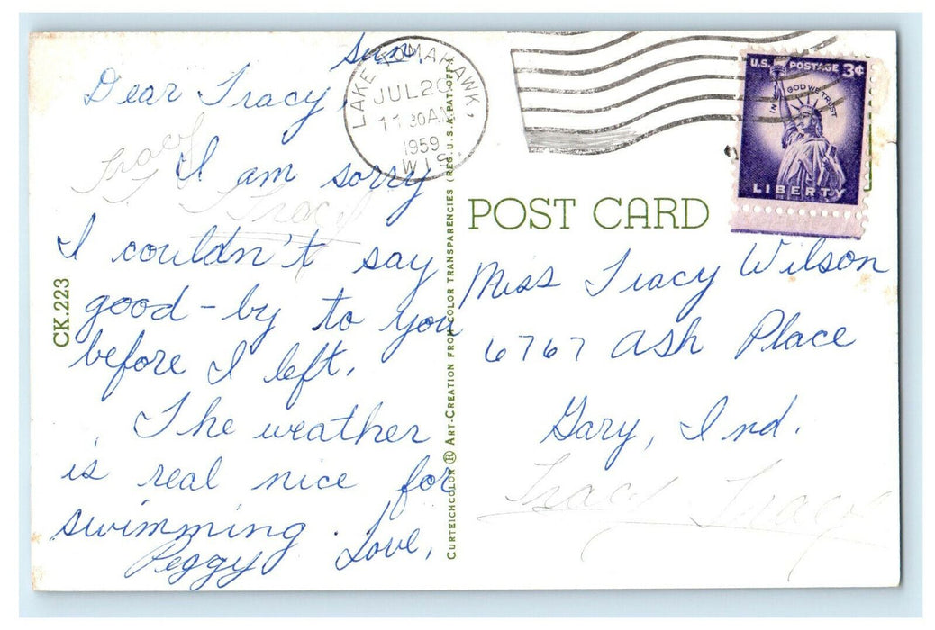 1959 Bear Hugging Tree, Greetings from Lake Tomahawk Wisconsin WI Postcard