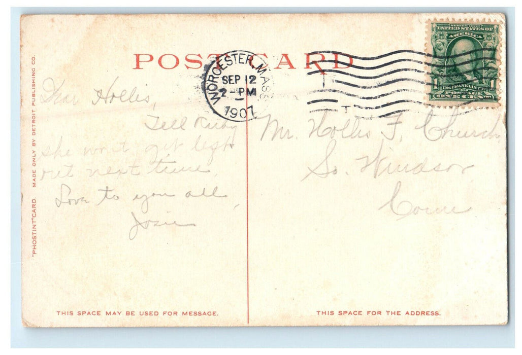 1907 Berkshire Birches Berkshire Hills Massachusetts MA Posted Postcard
