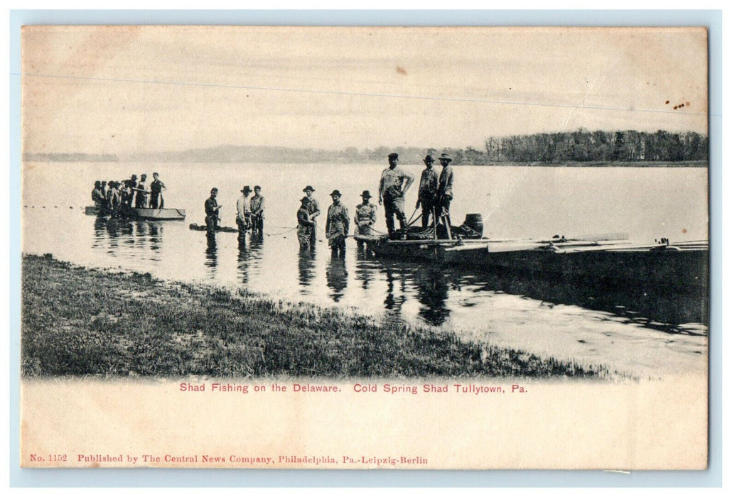 c1905s Shad Fishing on the Delaware Cold Spring Shad Tullytown PA Postcard