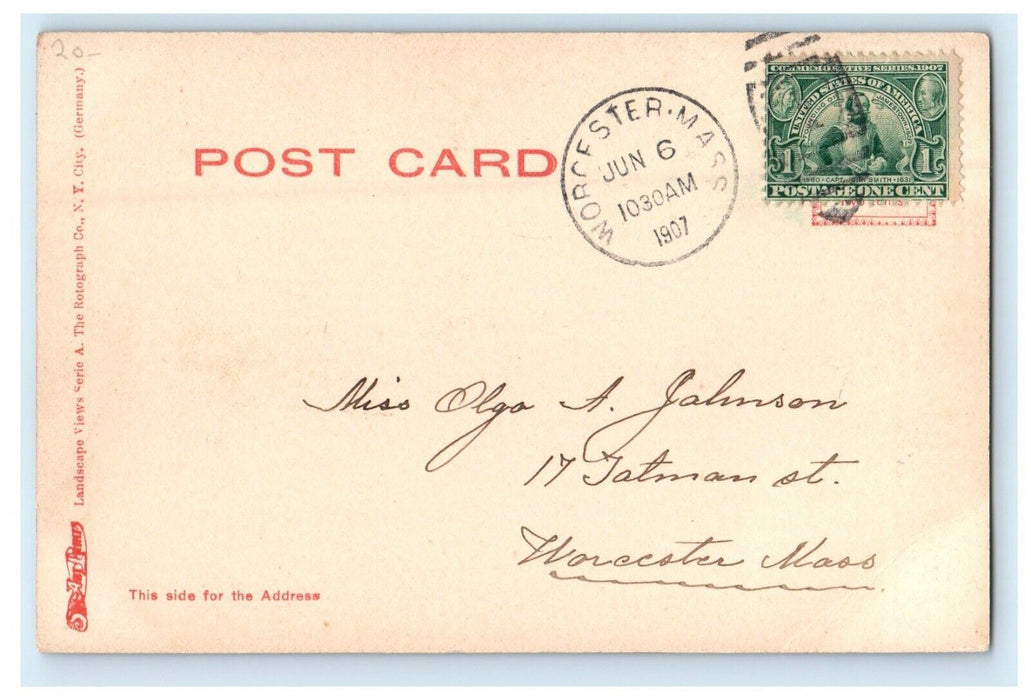 1907 Forest Trees View Worcester Massachusetts MA RPPC Photo Rotograph Postcard
