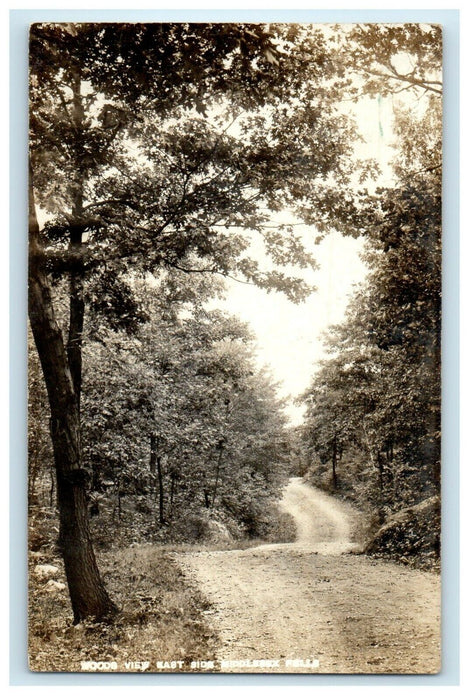 1910 Woods View East Side Middlesex Fells Massachusetts MA RPPC Photo Postcard