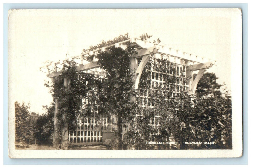 c1920's The Rambler Roses At Chatham Massachusetts MA RPPC Photo Postcard