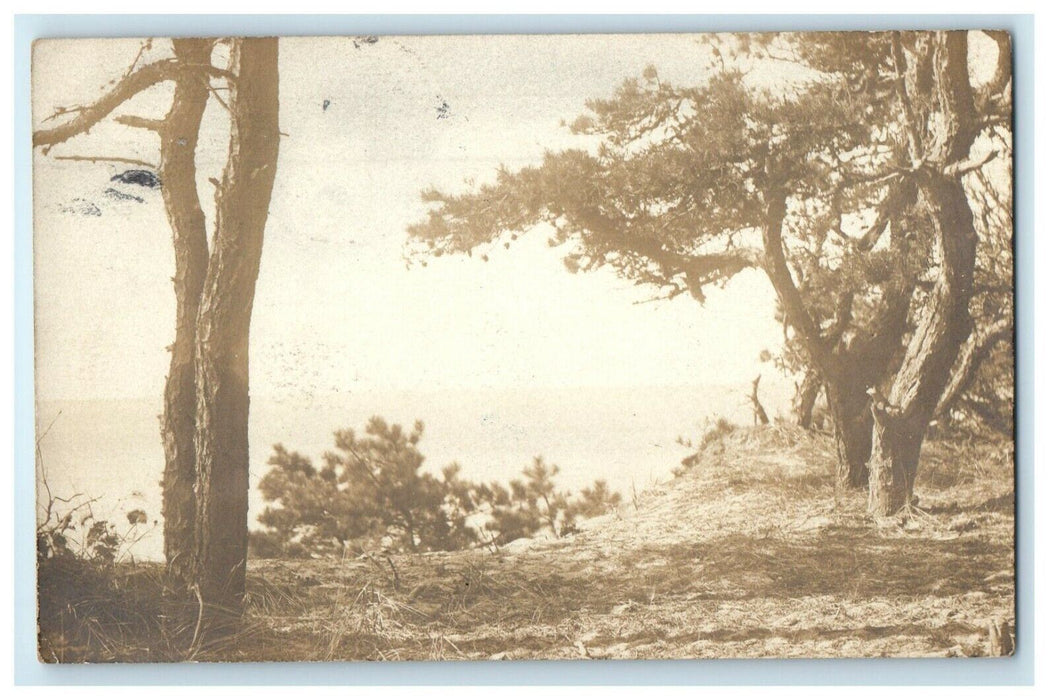 1918 Shore Blue Ocean Trees Harwichport Massachusetts MA RPPC Photo Postcard