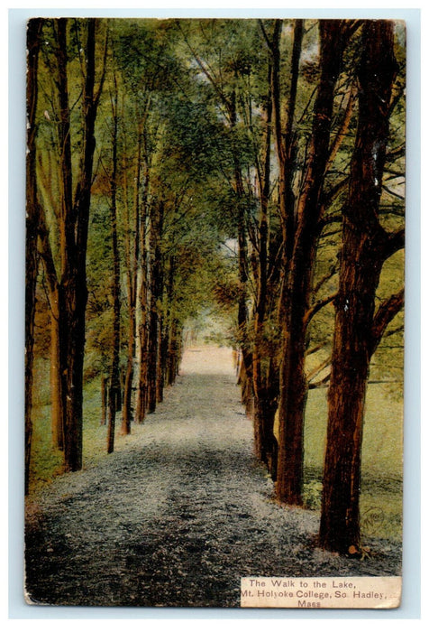 1909 The Walk to the Lake Mt. Holyoke College South Hadley MA Postcard