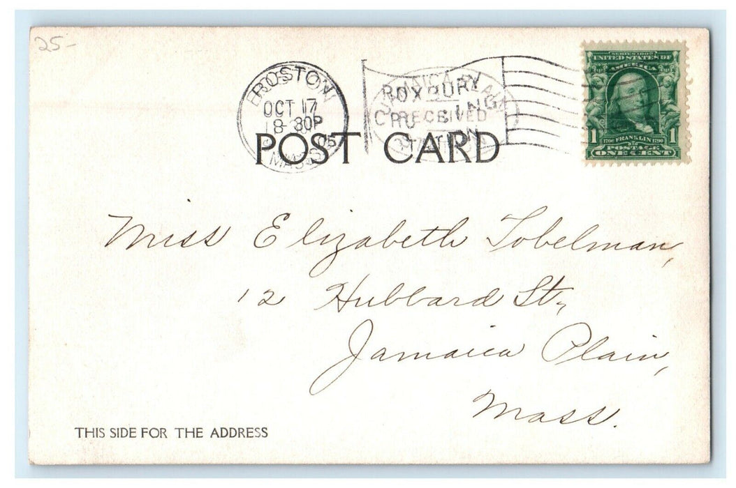 1905 Bells Cascade Boston Massachusetts MA RPPC Photo Antique Postcard