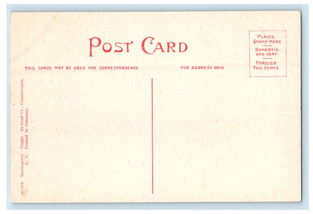 c1910 NY Central Railroad Depot and Canandalgua Hotel NY Antique Postcard